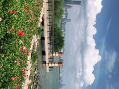 -深圳湾公园(南山区)
