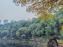-重庆彩云湖湿地公园