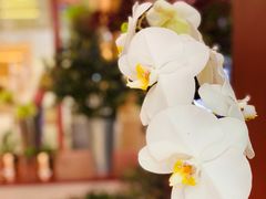 -二酉书店TOYOU BOOKS