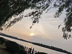 -丁香湖公园