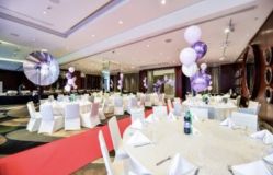 -派对猴生日派对策划