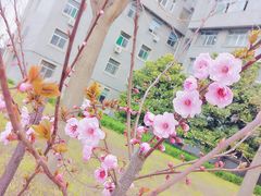 -山东师范大学(千佛山校区)