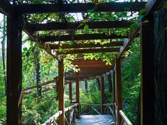-大岭沟猕猴桃谷风景区