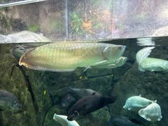 -成都浩海立方海洋公园