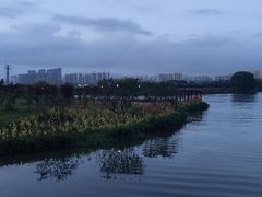 -三垟湿地