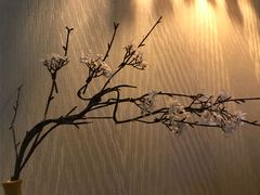 -域SPA·足疗·按摩·养生(静安寺店)