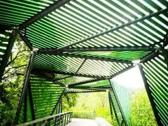 -西湖风景区-江洋畈生态公园