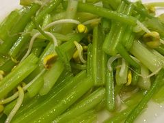 芹菜炒豆芽-金海湾海鲜排档(朱家尖店)