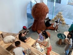 -瞄一喵猫咖(格力海岸店)