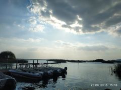 -太湖湖滨国家湿地公园-停车场