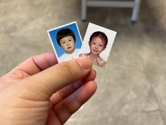 -小树照相馆·证件照(打浦桥店)