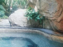 -海口观澜湖火山温泉谷