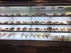 自助取餐区-搓火大都会(广安门总店)