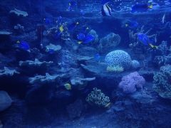 -左海海底世界