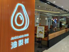 -油梨树 AVOCADO TREE(亮马桥店)