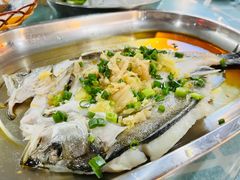 -石岐乳鸽村(桥观坊南四巷店)