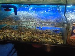 水产区-南海渔家•海鲜•正宗海南菜(海棠湾店)