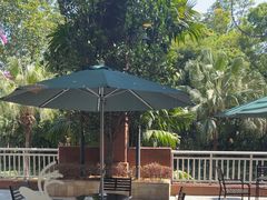 -麒麟中餐厅·经典粤菜·地道菜式老字号(广州长隆酒店)