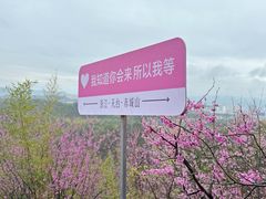 -天台山赤城山景区