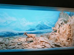 -青藏高原自然博物馆