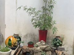 -月栖华明-云间草堂清茶馆(泗泾古镇店)