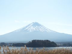 -Red Rock(原宿店)