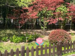 -莲花池公园