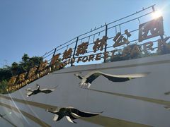 -西双版纳原始森林公园