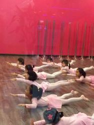 -STUDIO E POLE DANCE