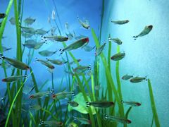 -太平洋海底世界