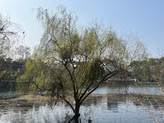 -华凌山庄·隐湖栖