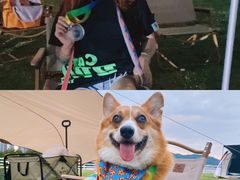 -南京外国语学校(仙林分校西区)