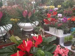-秦美花卉(天朗·莱茵小城2期店)