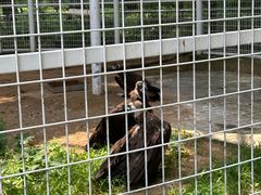 -秦皇岛野生动物园