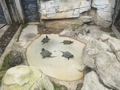 -黔灵山公园