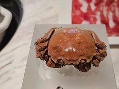 -汤城·料青山