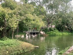 -深圳野生动物园