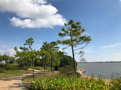 -上海滴水湖皇冠假日酒店