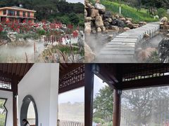 -广西壮族自治区药用植物园