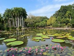 -中国科学院西双版纳热带植物园