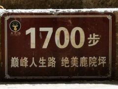 -鹿院坪生态旅游景区