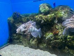 -大连老虎滩海洋公园