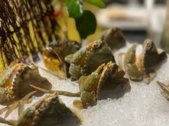-半岛翡丽海鲜自助餐厅(观风亭店)