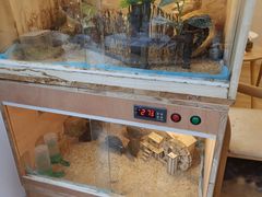 -猫咪派对(江南西店)