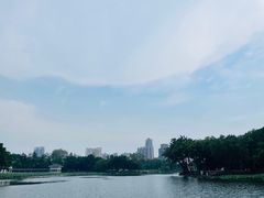 -荔湾湖公园