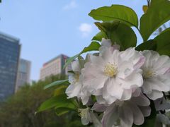-海棠花溪(元大都城垣遗址公园)
