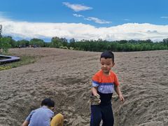 -东郊湿地公园