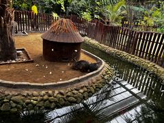 -呀路古热带植物园