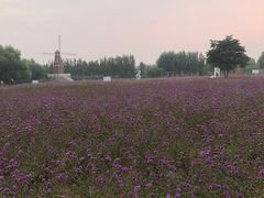 -渔岛海洋度假区