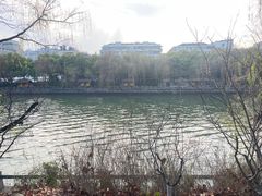 -运河游船(武林门码头)